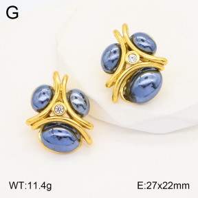 2E3002967bbov-434  Stainless Steel Earrings