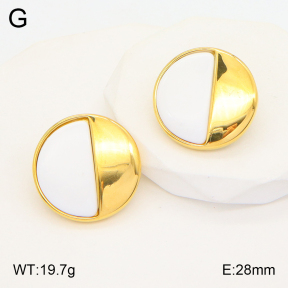 2E4003989vbnl-434  Stainless Steel Earrings