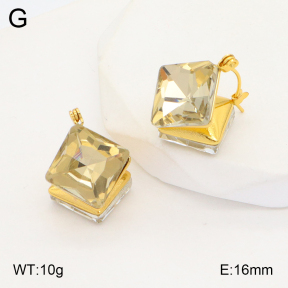 2E4003997bbov-434  Stainless Steel Earrings