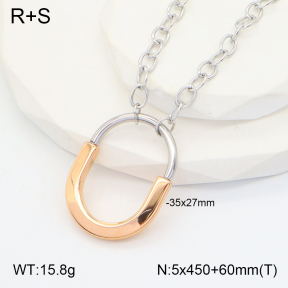 2N2005020vbpb-434  Stainless Steel Necklace