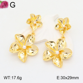 F2E300791vhnl-K69  Fashion Earrings