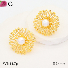 F2E300800vhmv-K69  Fashion Earrings