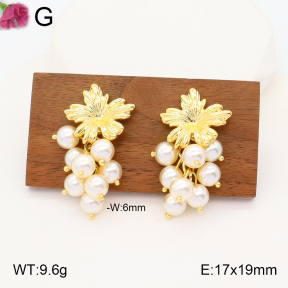 F2E300802vhpl-K69  Fashion Earrings