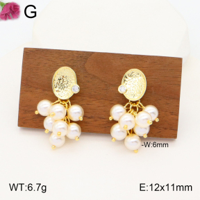 F2E300803vhov-K69  Fashion Earrings