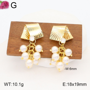 F2E300804aivb-K69  Fashion Earrings