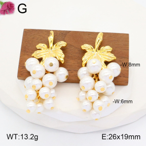 F2E300805vhpl-K69  Fashion Earrings