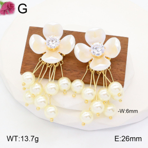 F2E300806vhpl-K69  Fashion Earrings