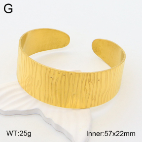 2BA201719vhha-708  Stainless Steel Bangle