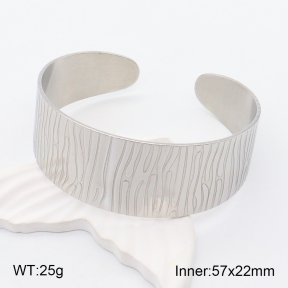 2BA201720vbpb-708  Stainless Steel Bangle
