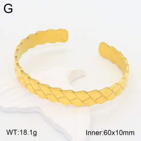 2BA201723vbpb-708  Stainless Steel Bangle