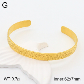 2BA201731vbpb-708  Stainless Steel Bangle