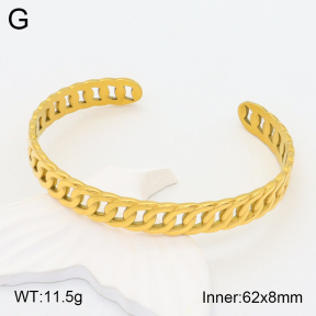 2BA201734vbpb-708  Stainless Steel Bangle