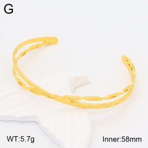 2BA201738vbpb-708  Stainless Steel Bangle