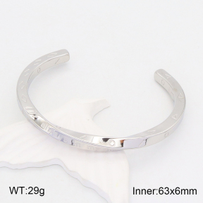 2BA201744vbpb-708  Stainless Steel Bangle