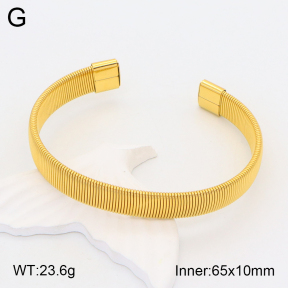 2BA201749vhha-708  Stainless Steel Bangle
