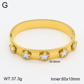 2BA300420bhia-708  Stainless Steel Bangle