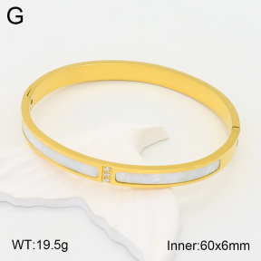 2BA300423vhha-708  Stainless Steel Bangle