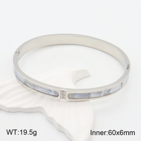 2BA300425bhva-708  Stainless Steel Bangle