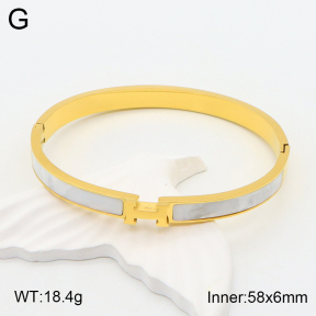 2BA300434vhha-708  Stainless Steel Bangle