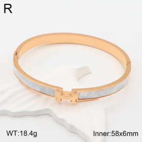 2BA300435vhha-708  Stainless Steel Bangle