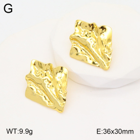 2E2005314aaio-703  Stainless Steel Earrings