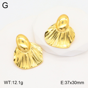 2E2005315aaio-703  Stainless Steel Earrings