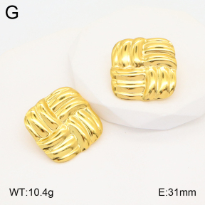 2E2005316aaio-703  Stainless Steel Earrings