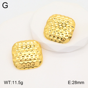 2E2005317aaio-703  Stainless Steel Earrings
