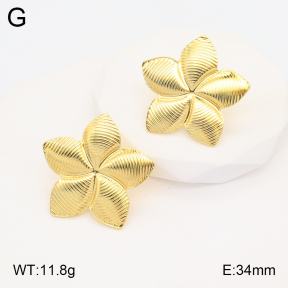 2E2005318aaio-703  Stainless Steel Earrings