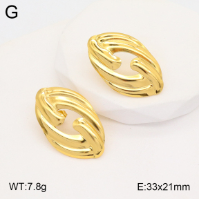 2E2005319aaio-703  Stainless Steel Earrings