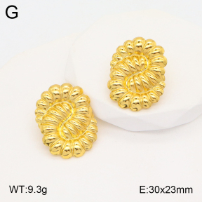 2E2005320aaio-703  Stainless Steel Earrings