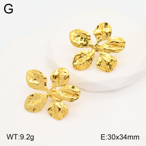 2E2005321aaio-703  Stainless Steel Earrings