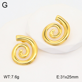 2E2005322aaio-703  Stainless Steel Earrings