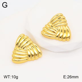 2E2005323aaio-703  Stainless Steel Earrings