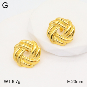 2E2005324aaio-703  Stainless Steel Earrings