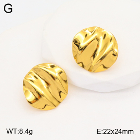 2E2005325aaio-703  Stainless Steel Earrings