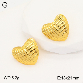 2E2005326aaio-703  Stainless Steel Earrings