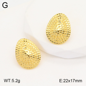 2E2005327aaio-703  Stainless Steel Earrings