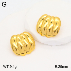 2E2005328aaio-703  Stainless Steel Earrings