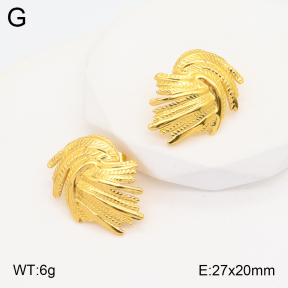 2E2005329aaio-703  Stainless Steel Earrings