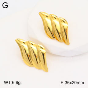 2E2005330aaio-703  Stainless Steel Earrings