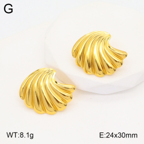 2E2005331aaio-703  Stainless Steel Earrings