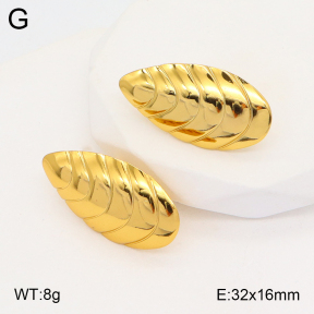 2E2005332aaio-703  Stainless Steel Earrings