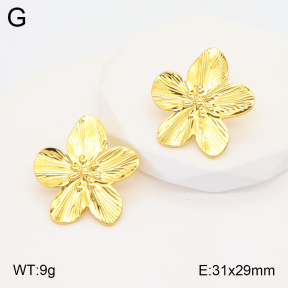 2E2005333aaio-703  Stainless Steel Earrings