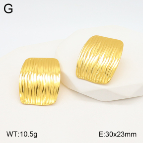2E2005334aaio-703  Stainless Steel Earrings