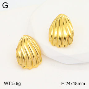 2E2005335aaio-703  Stainless Steel Earrings