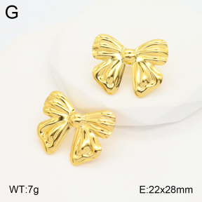 2E2005336aaio-703  Stainless Steel Earrings