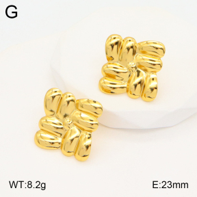 2E2005337aaio-703  Stainless Steel Earrings