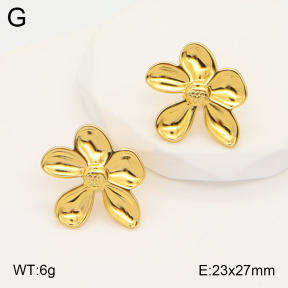 2E2005338aaio-703  Stainless Steel Earrings