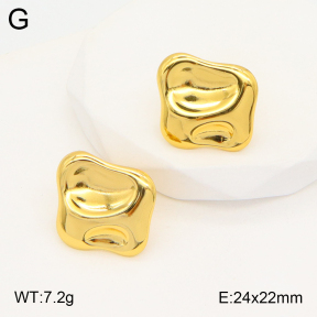 2E2005339aaio-703  Stainless Steel Earrings
